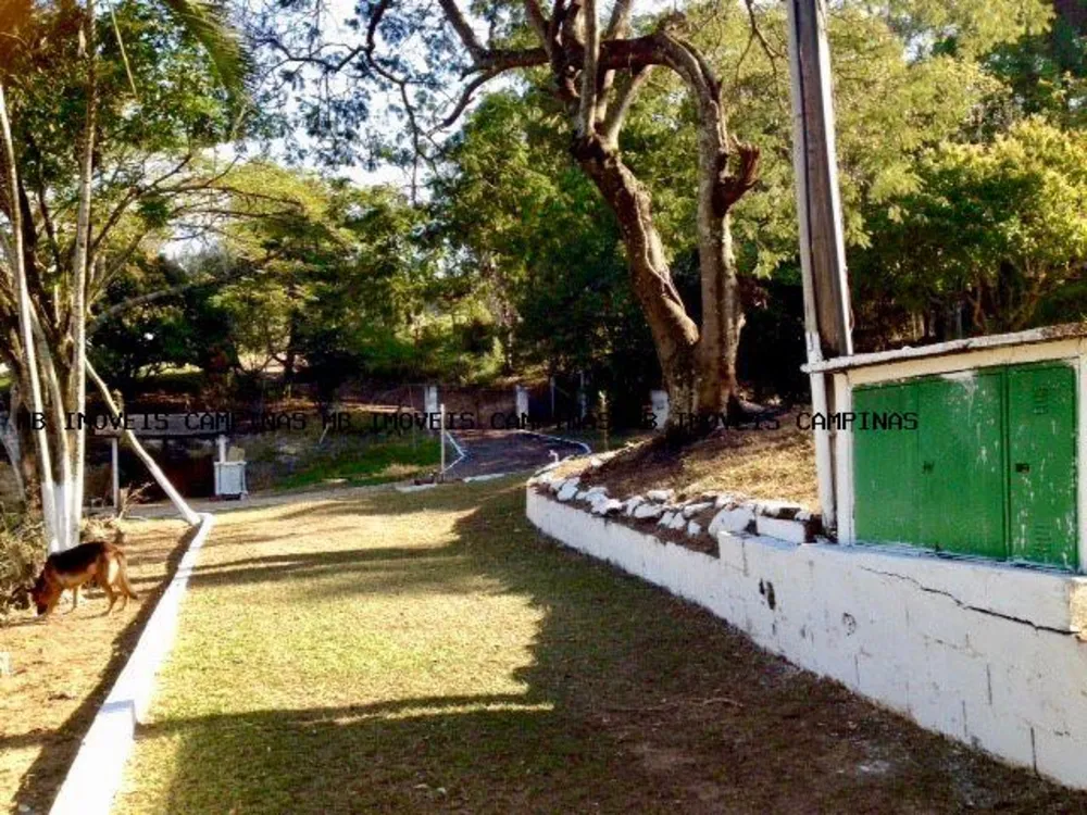 Chácara, 22 hectares - Foto 8