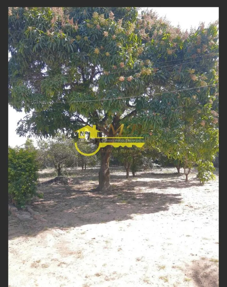 Chácara, 3 quartos, 2100 m² - Foto 5