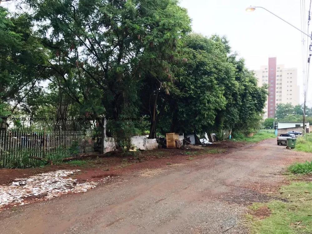 Terreno, 2000 m² - Foto 5