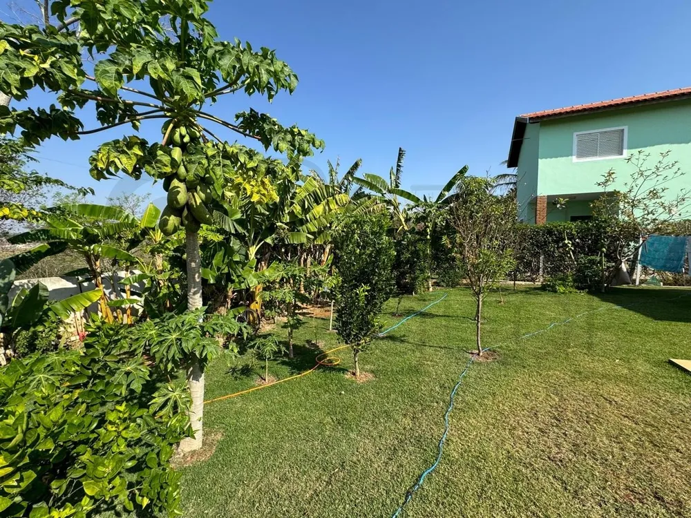 Casa, 4 quartos - Foto 4