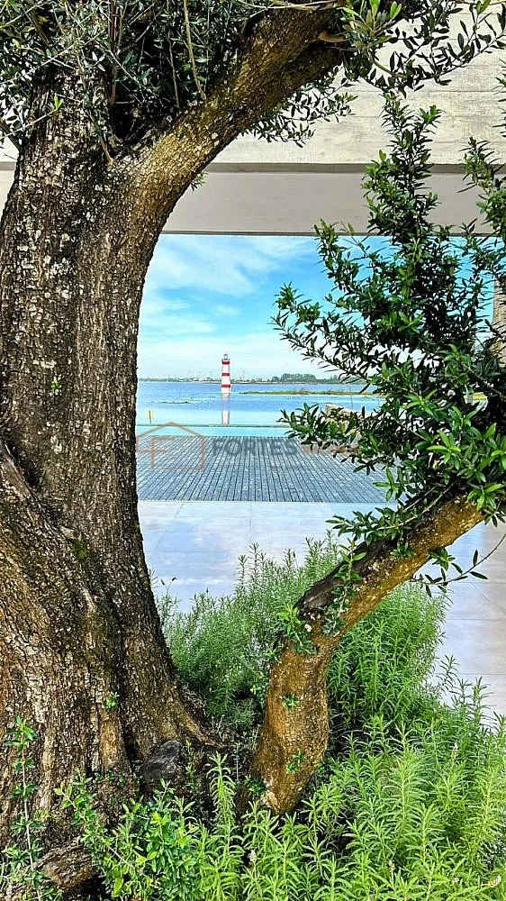Terreno, 5000 m² - Foto 6