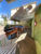 Apartamento, 2 quartos, 81 m² - Foto 8