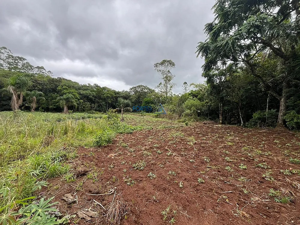 Terreno, 14 hectares - Foto 16