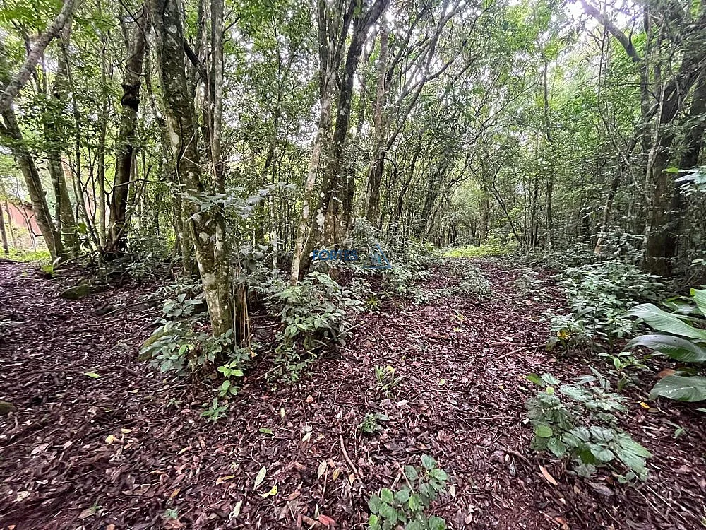 Terreno, 14 hectares - Foto 19