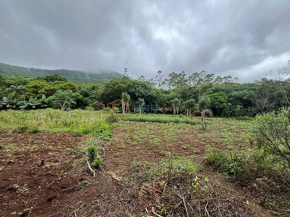 Terreno, 14 hectares - Foto 12