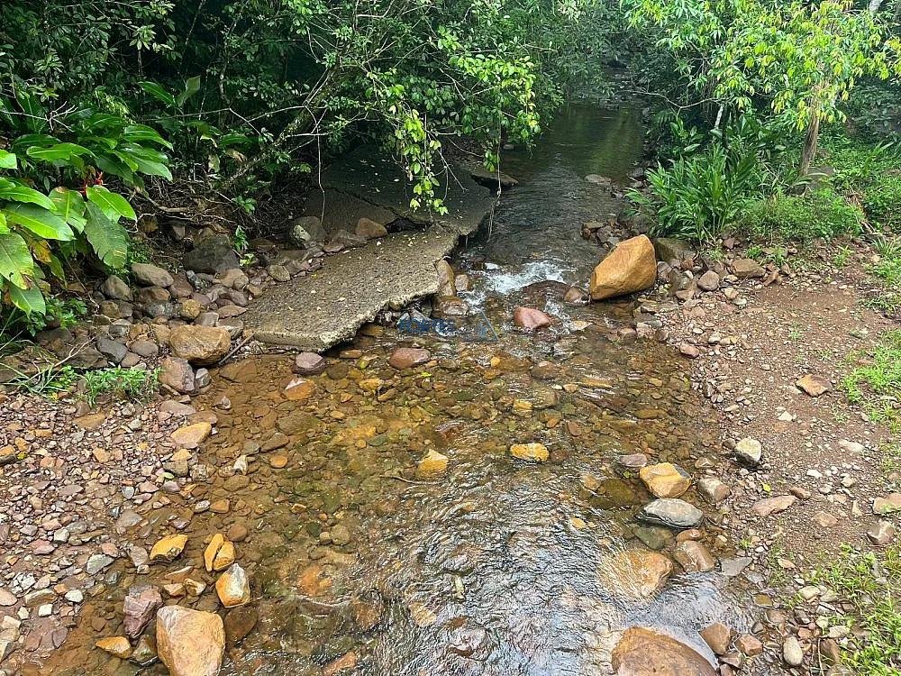 Terreno, 14 hectares - Foto 18