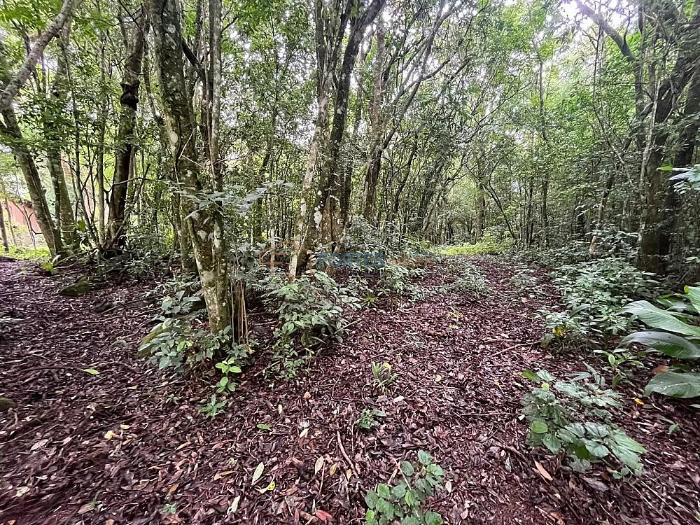 Terreno, 14 hectares - Foto 7