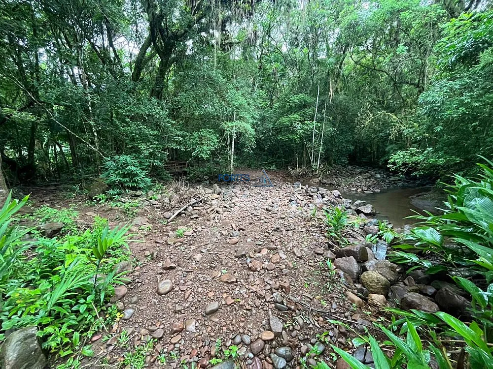 Terreno, 14 hectares - Foto 17