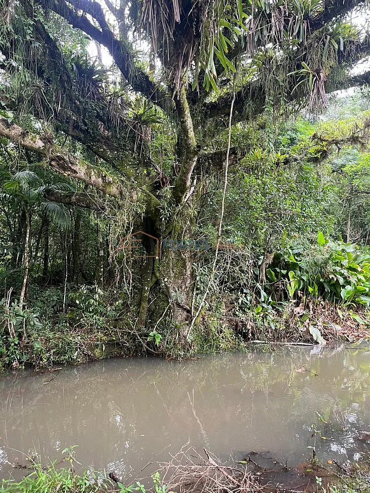 Terreno, 14 hectares - Foto 6