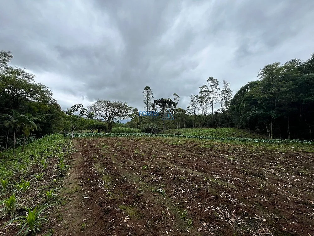 Terreno, 14 hectares - Foto 13