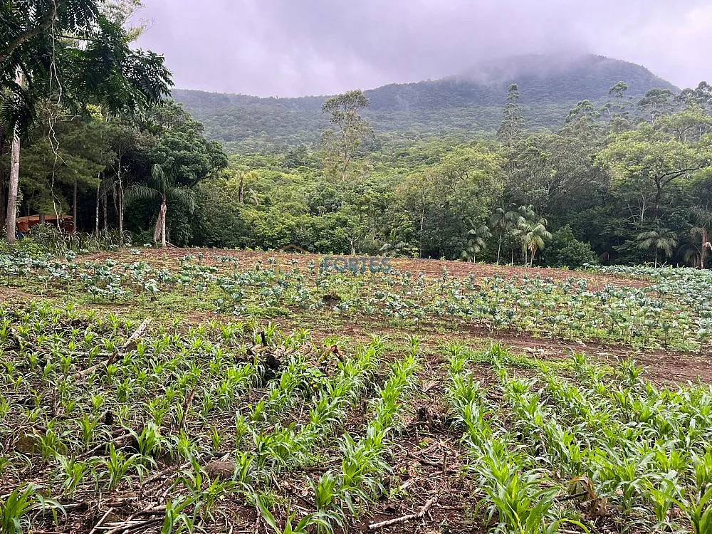 Terreno, 14 hectares - Foto 10