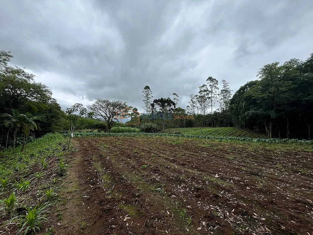 Terreno, 14 hectares - Foto 11