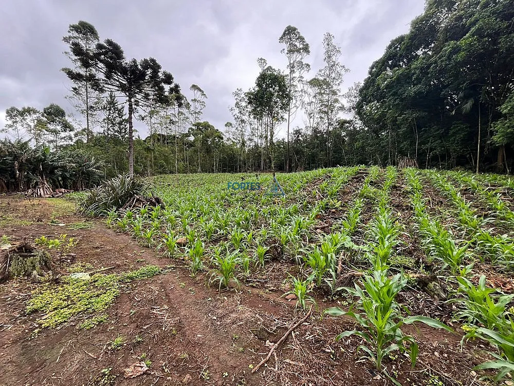 Terreno, 14 hectares - Foto 14