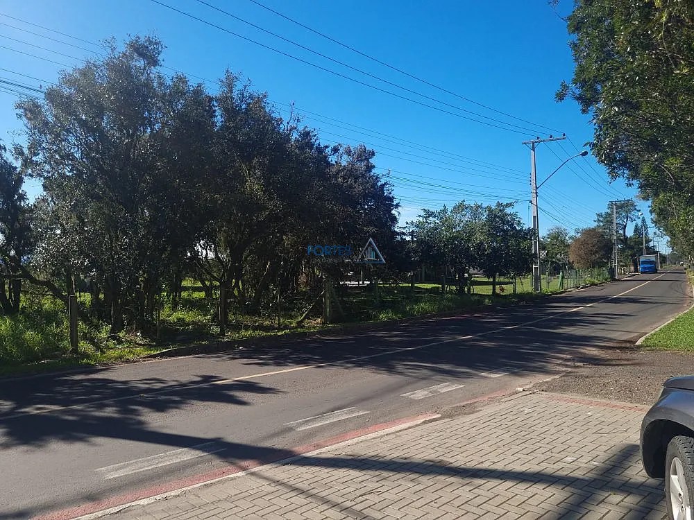 Terreno, 5000 m² - Foto 16