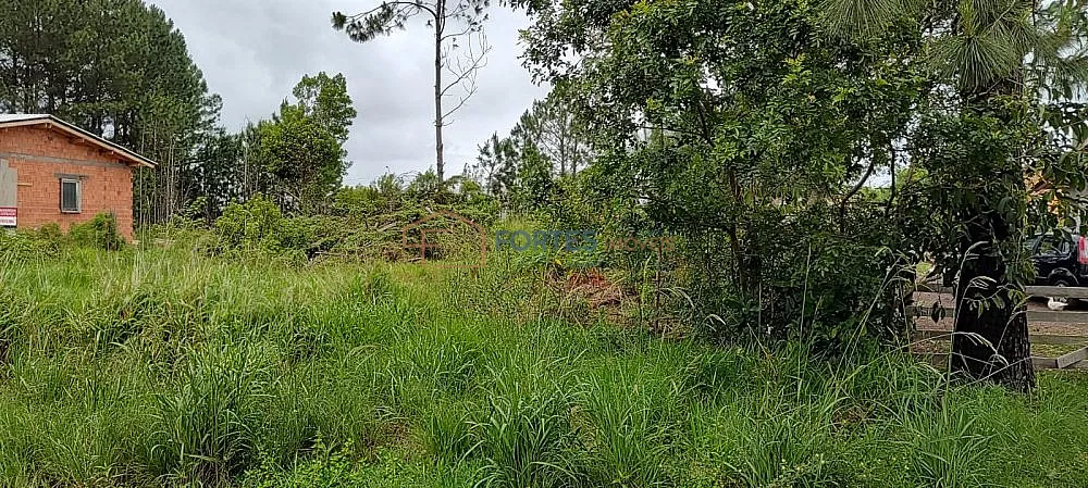 Terreno, 648 m² - Foto 4
