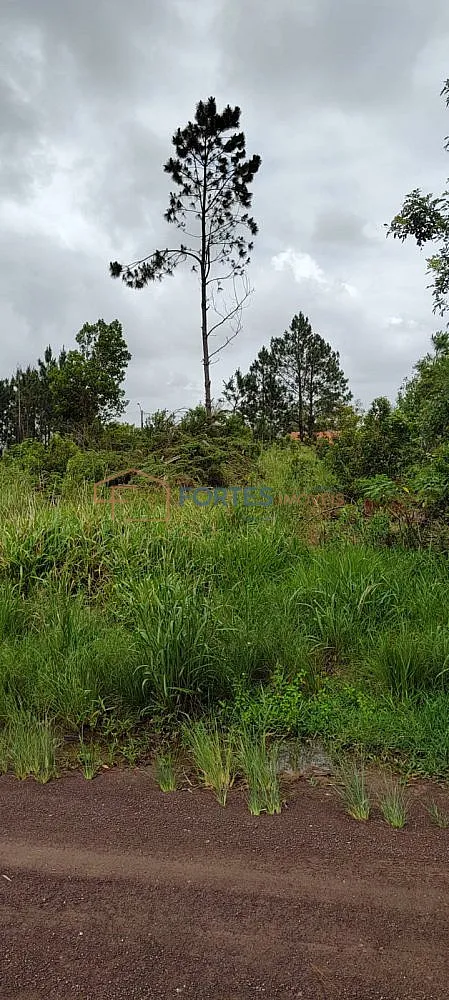Terreno, 648 m² - Foto 2