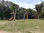 Casa, 2 quartos, 1427 m² - Foto 16