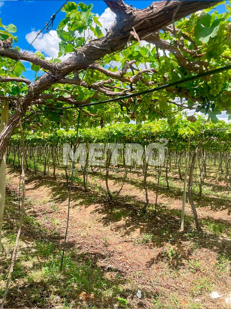 Fazenda - Foto 1