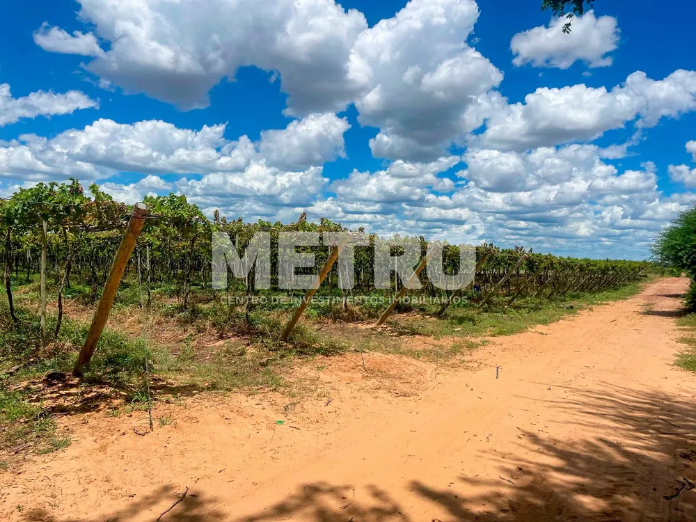 Fazenda - Foto 6