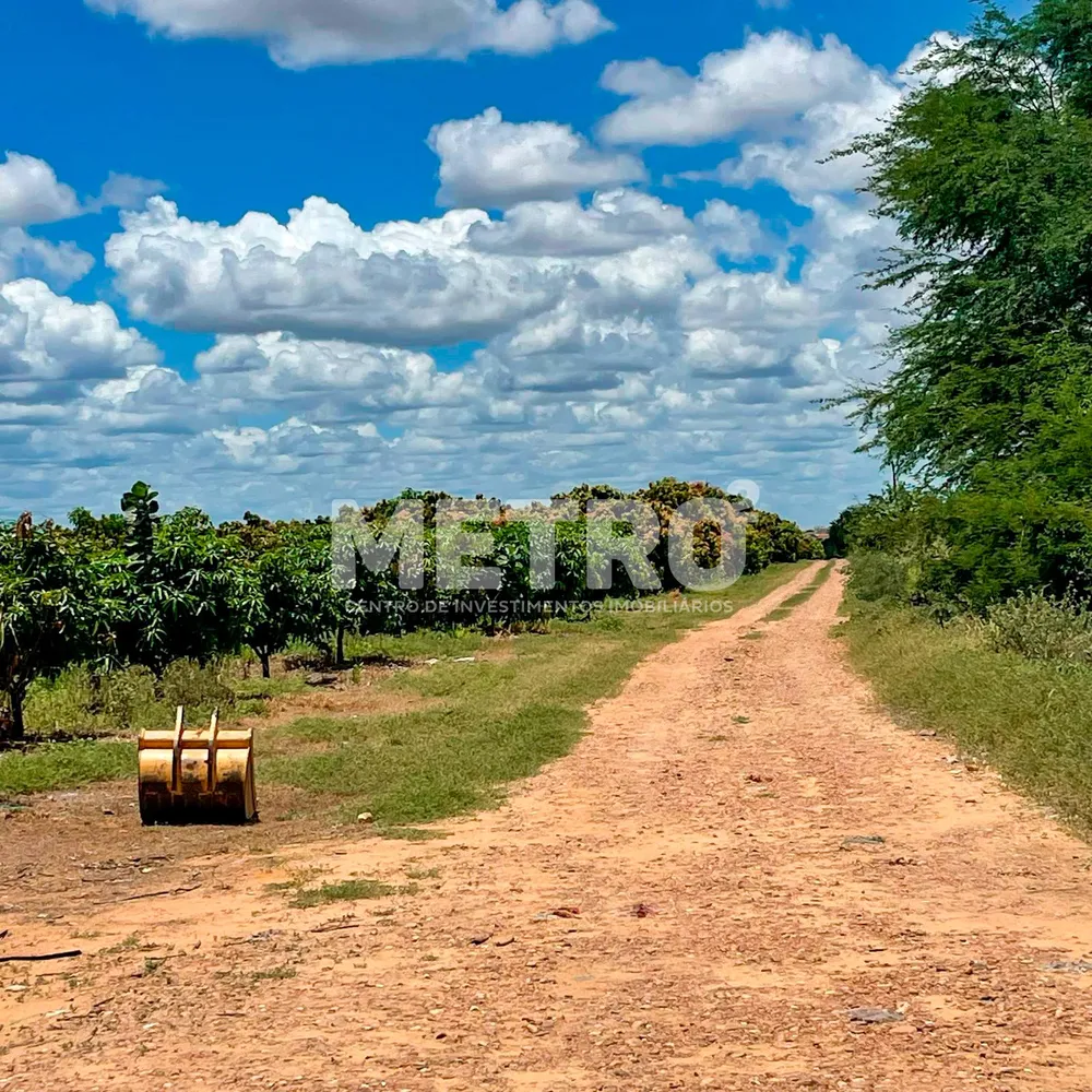 Fazenda - Foto 4