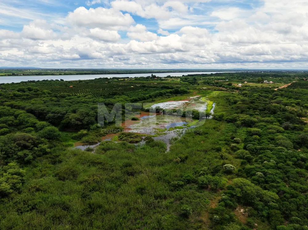 Fazenda - Foto 7