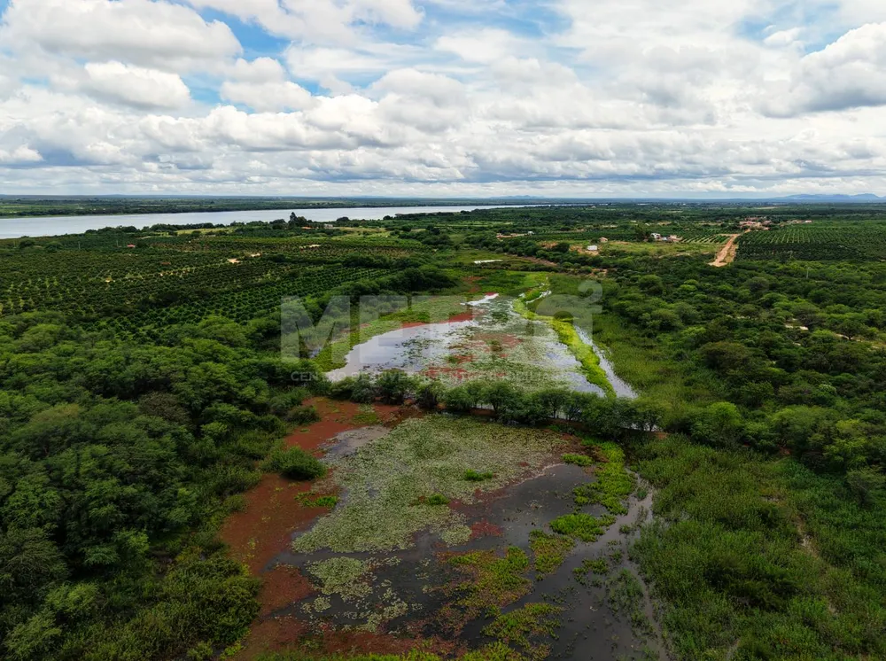 Fazenda - Foto 1