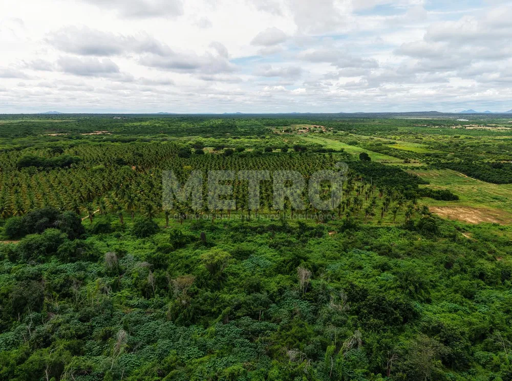 Fazenda - Foto 8