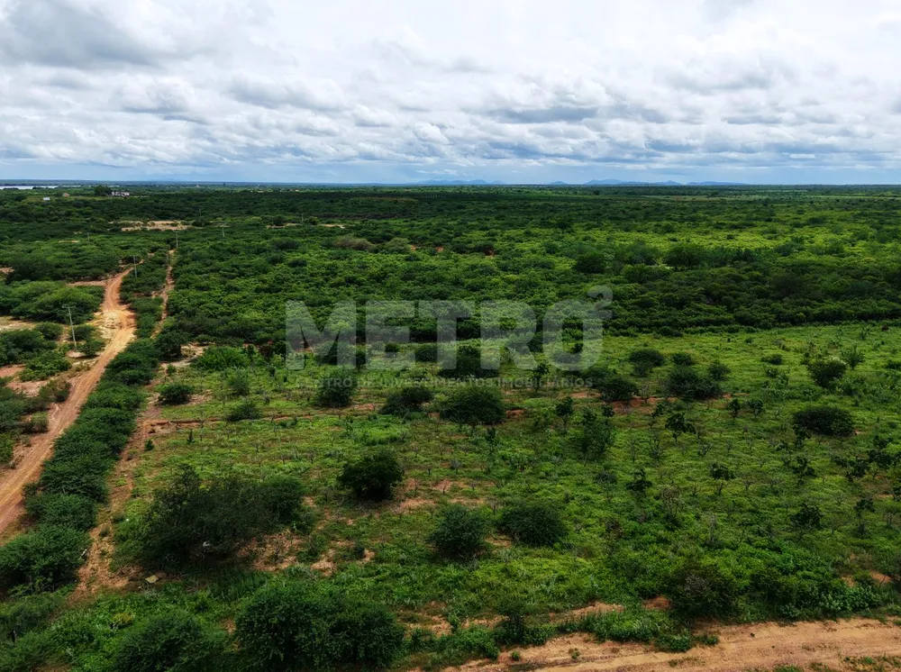 Fazenda - Foto 6