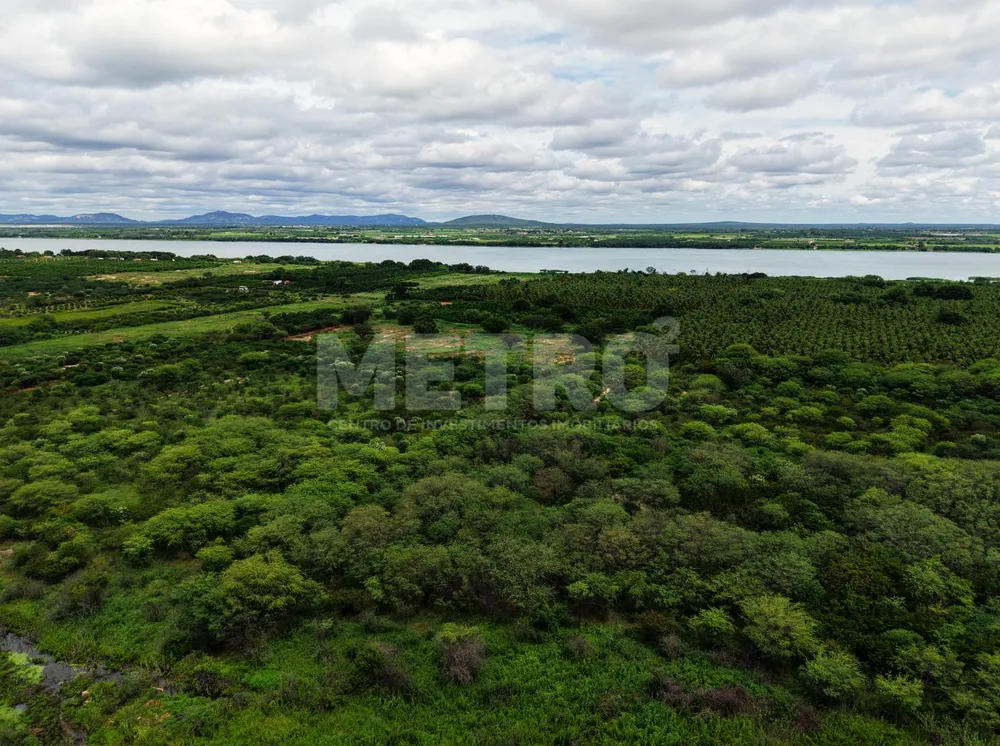 Fazenda - Foto 5
