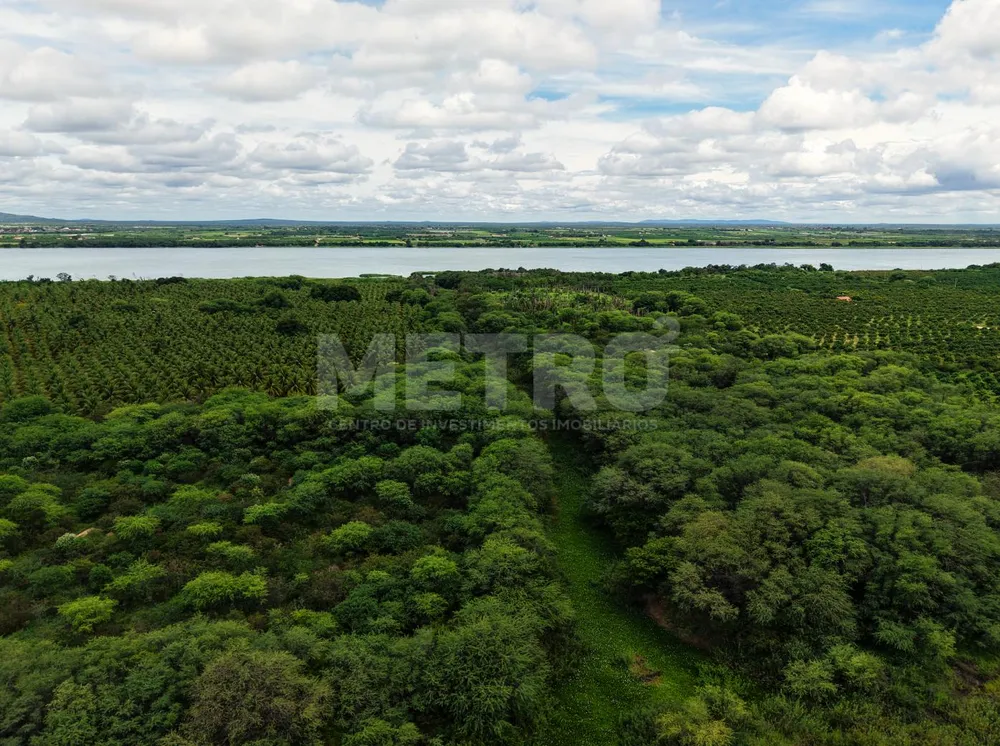 Fazenda - Foto 2