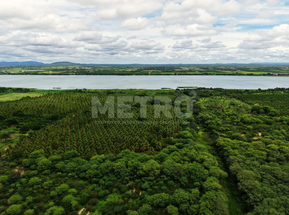Fazenda - Foto 4