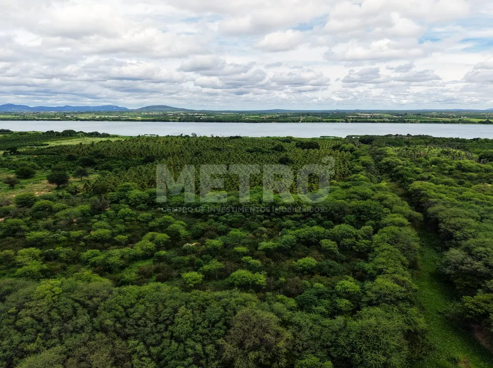 Fazenda - Foto 3