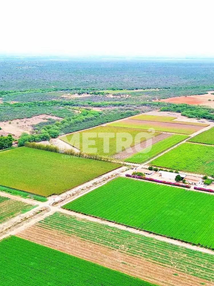 Fazenda - Foto 3