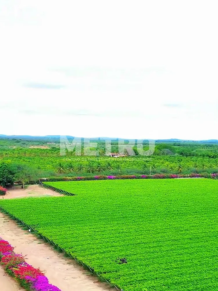 Fazenda - Foto 6
