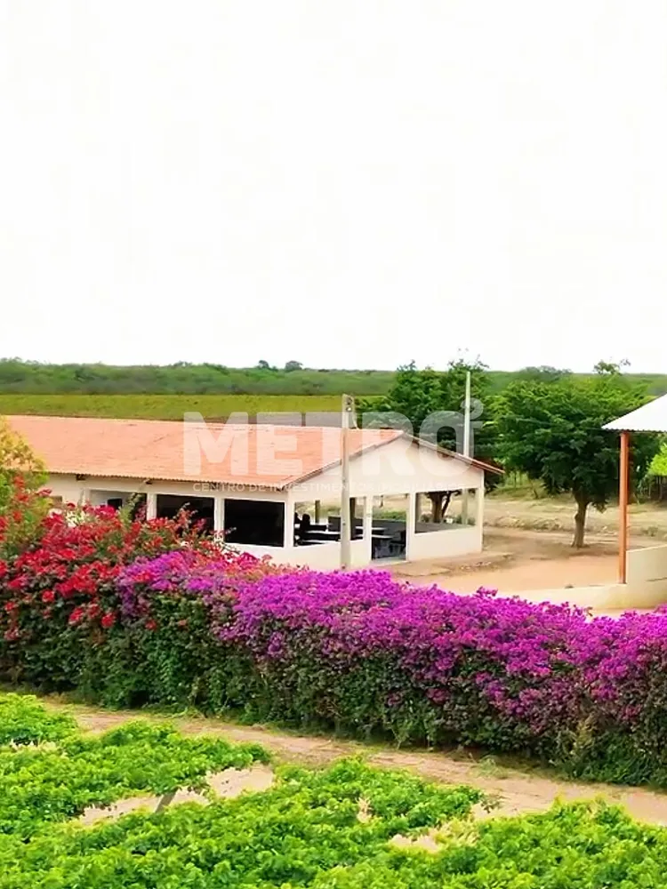 Fazenda - Foto 4
