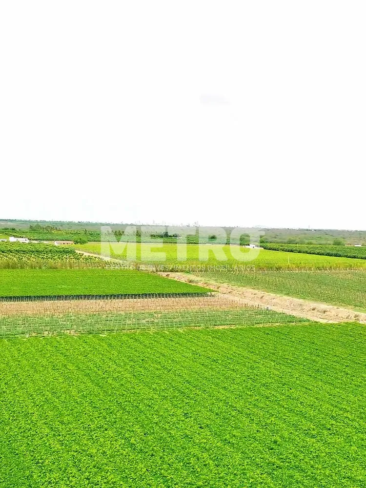 Fazenda - Foto 2