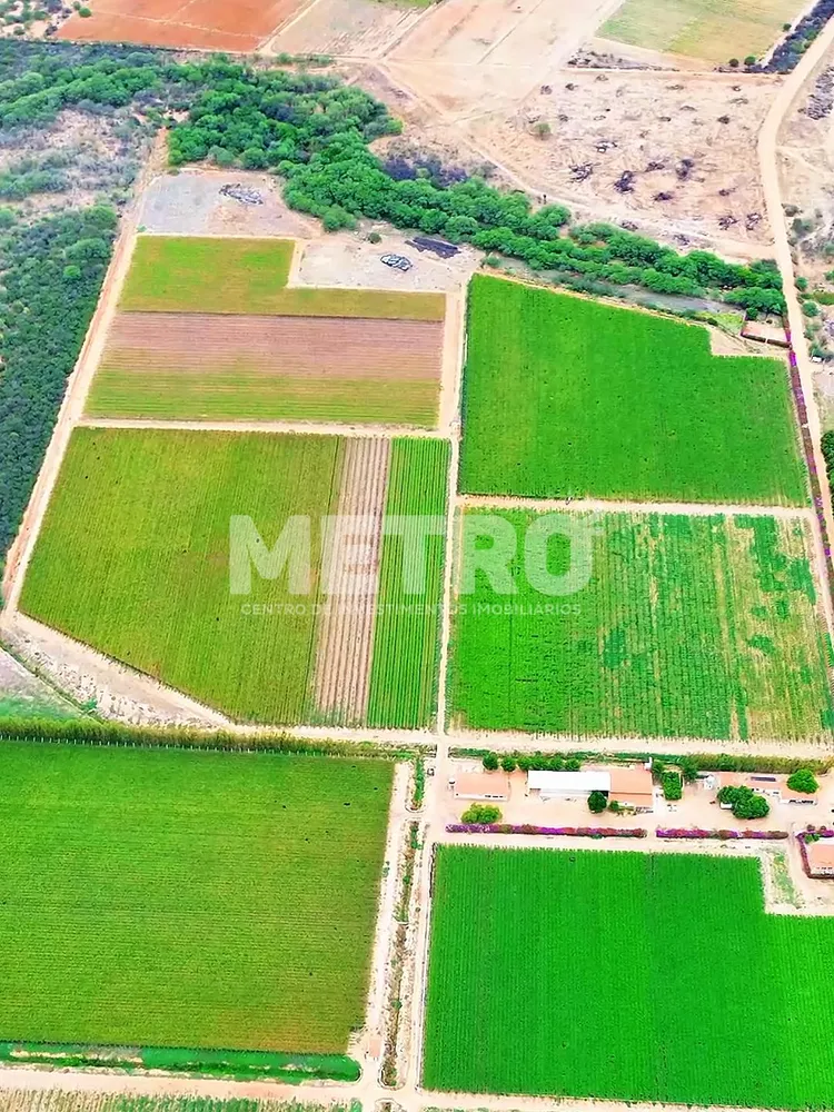 Fazenda - Foto 7