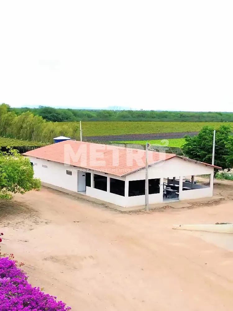 Fazenda - Foto 5