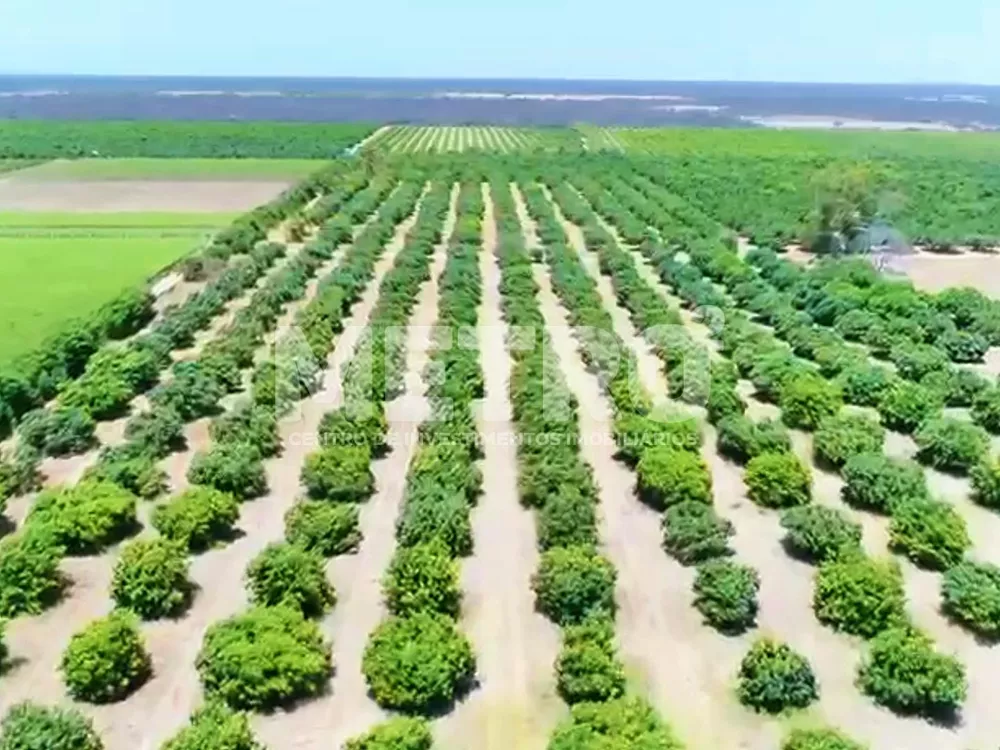 Fazenda - Foto 1
