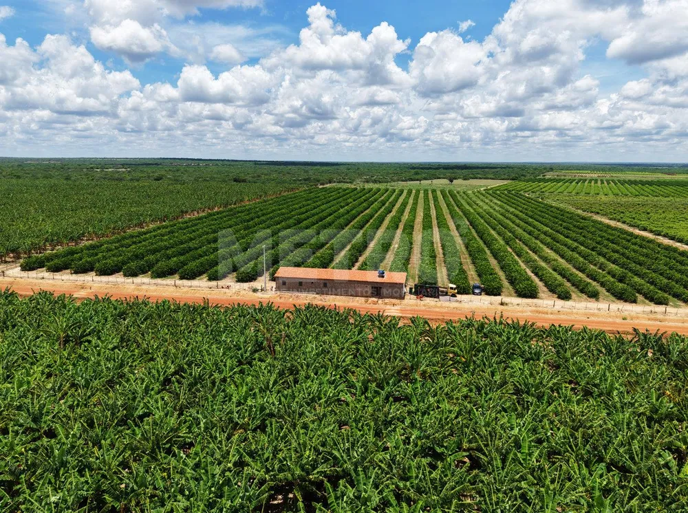 Fazenda - Foto 1