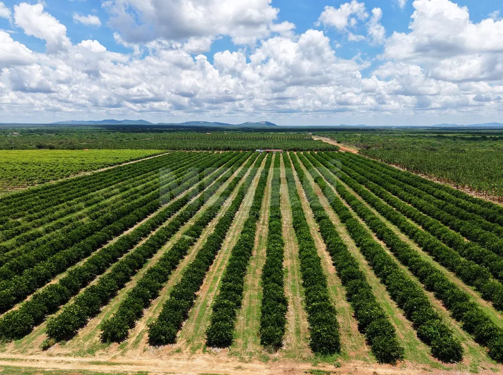 Fazenda - Foto 2