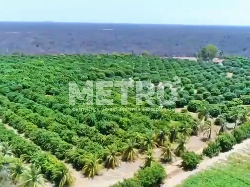 Fazenda - Foto 6