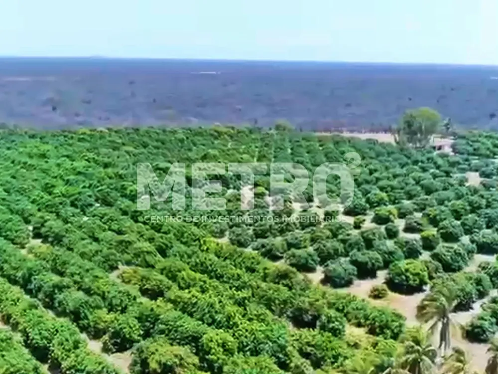 Fazenda - Foto 4