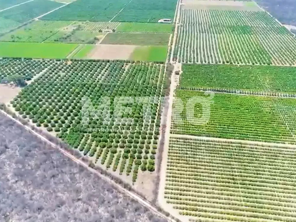 Fazenda - Foto 9