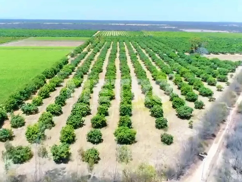 Fazenda - Foto 1