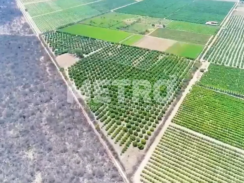 Fazenda - Foto 8