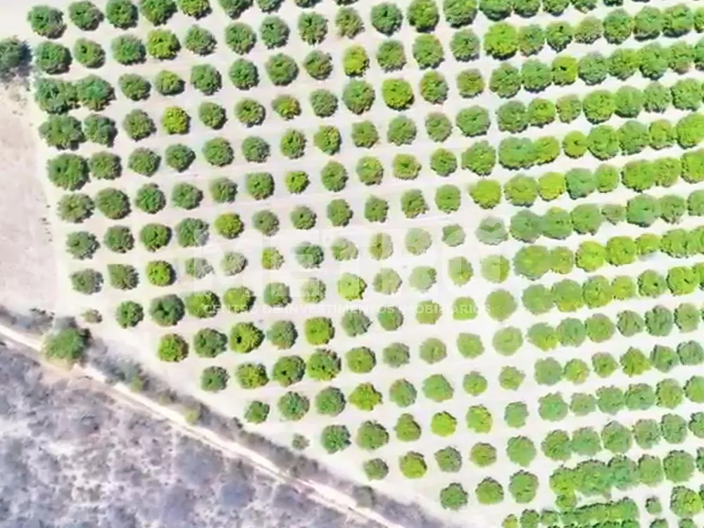 Fazenda - Foto 3