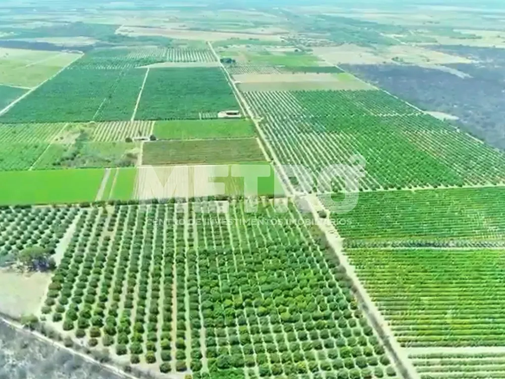 Fazenda - Foto 7