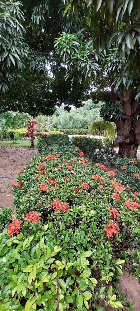 Chácara, 2 quartos - Foto 2