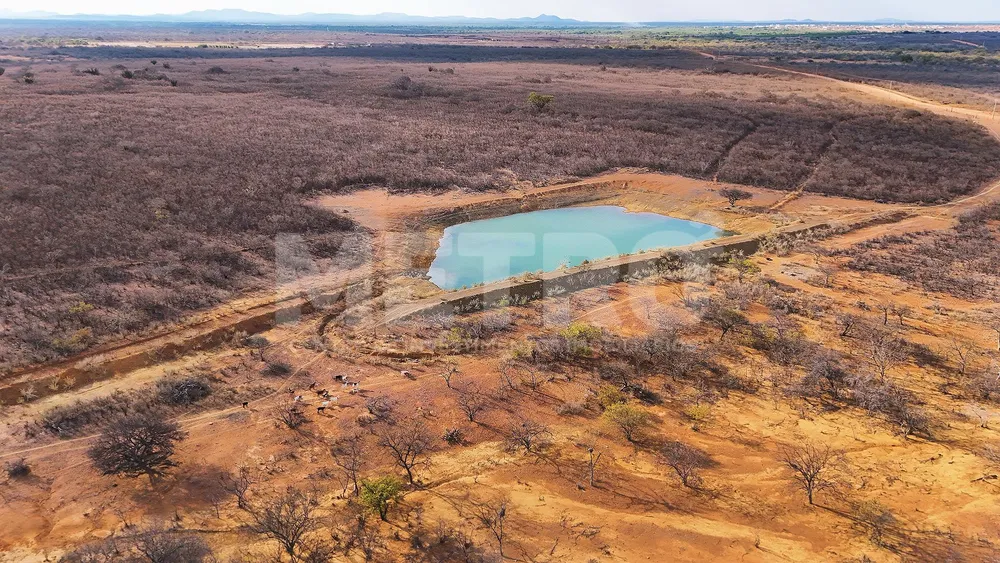 Fazenda - Foto 1